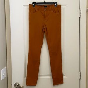 Ann Taylor Skinny Jeans